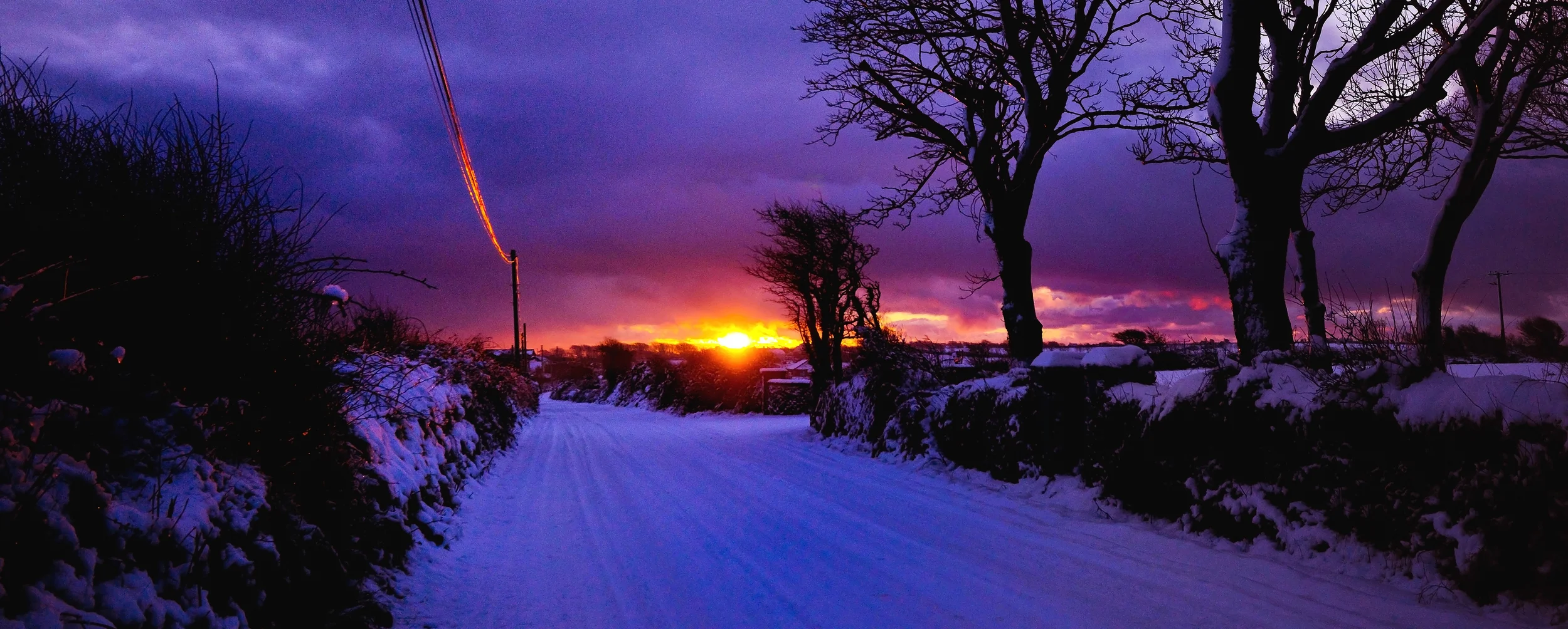 Knockduff Snow-Ref 10005 (45x18.jpg