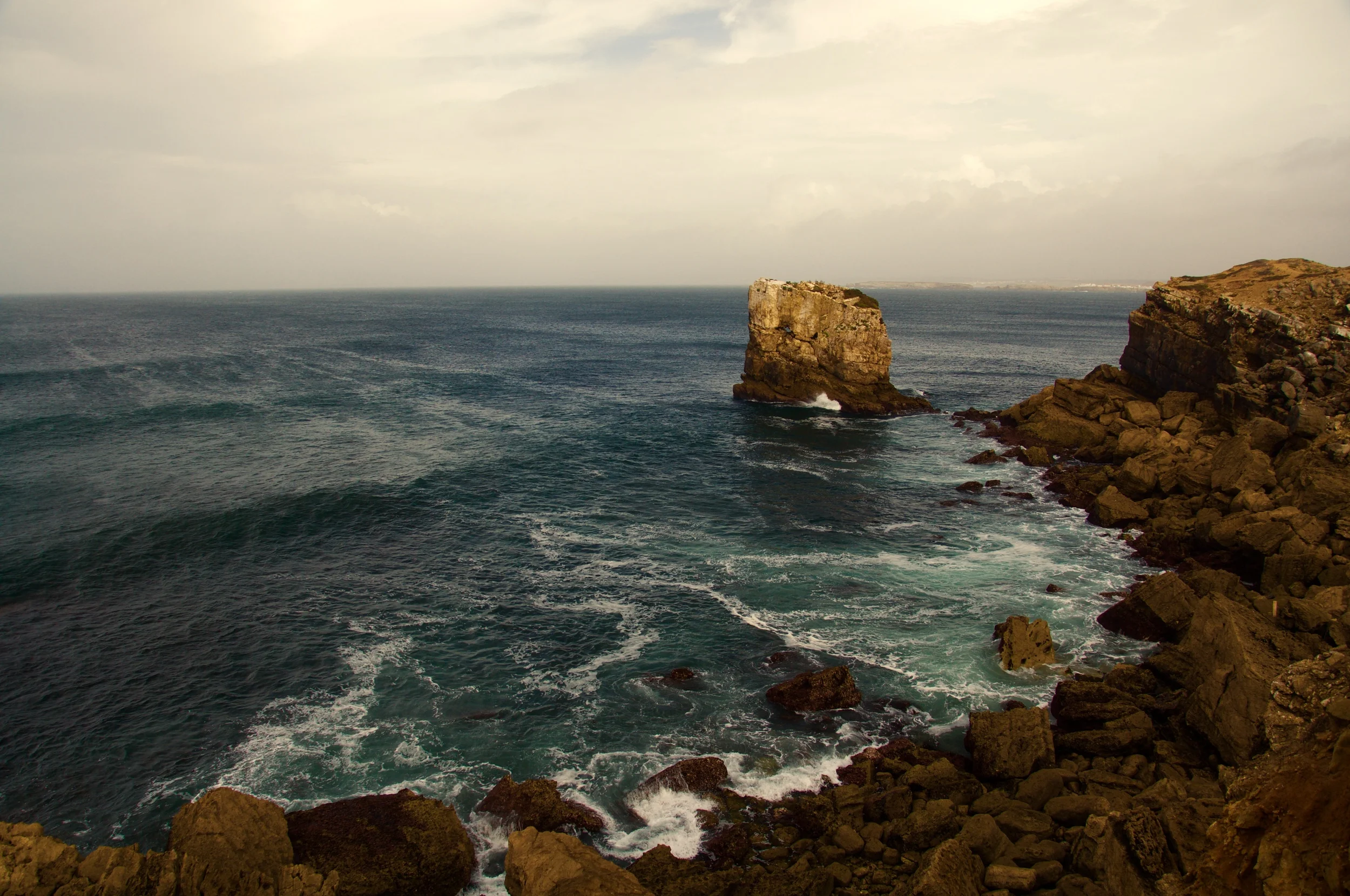 _DSC3320.jpg
