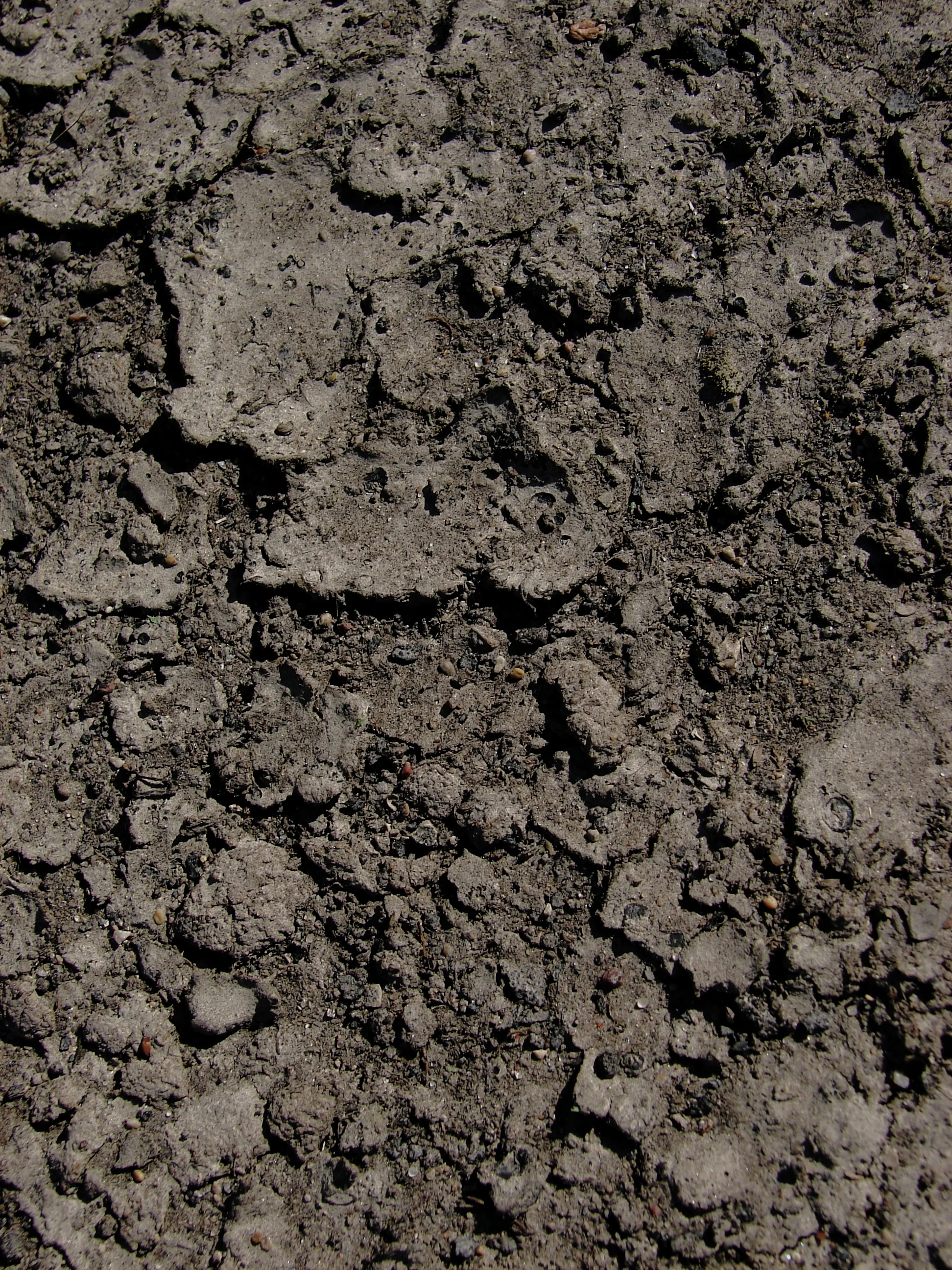 Cracked_Earth_Dirt_Texture.jpeg