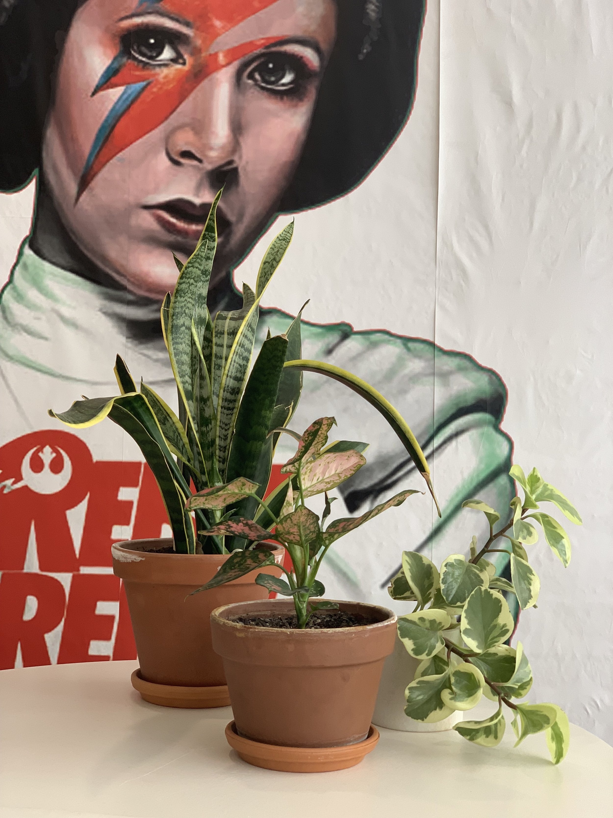 Simple Ways To Green Out Your Office!