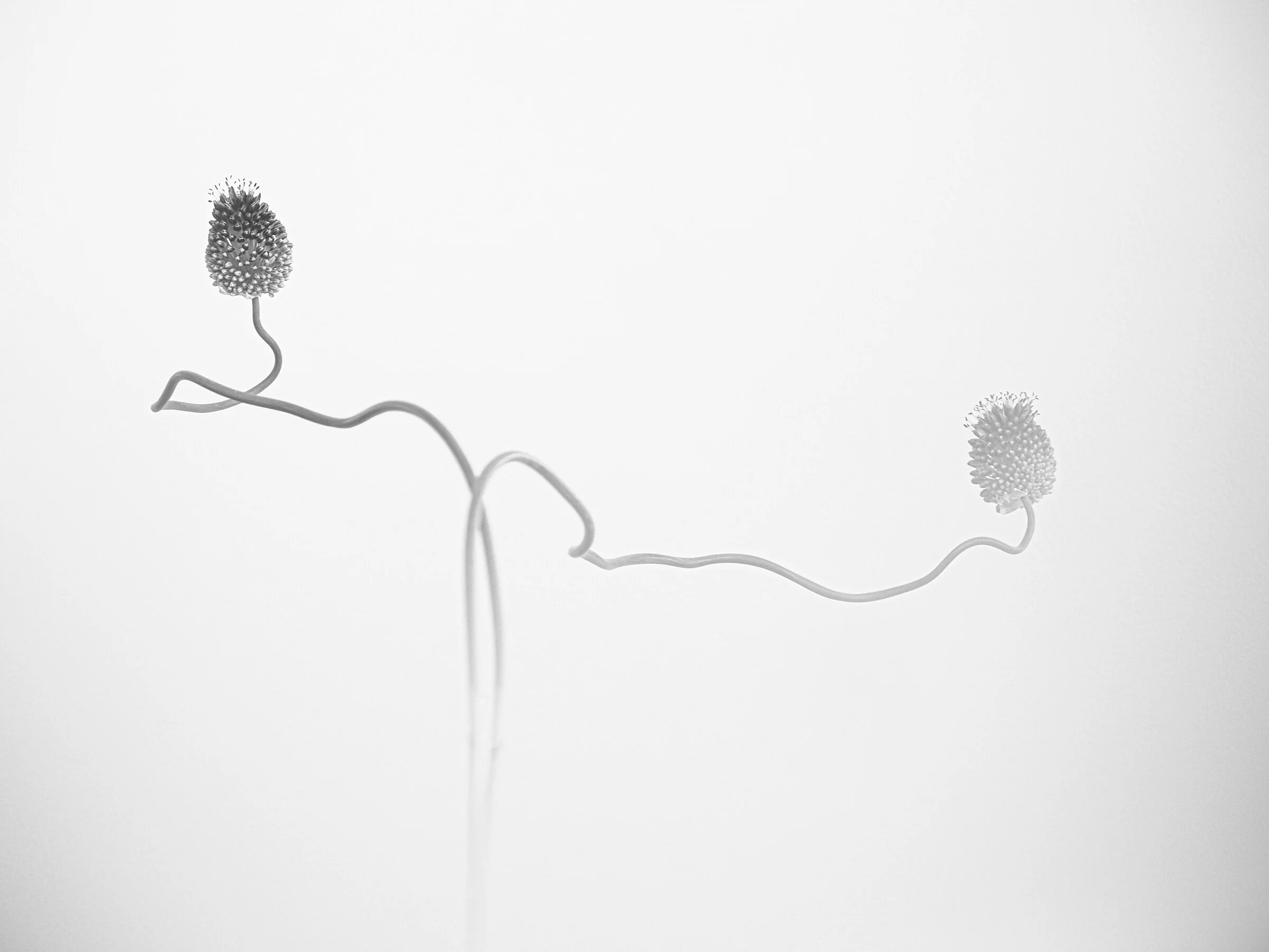Distance.jpg