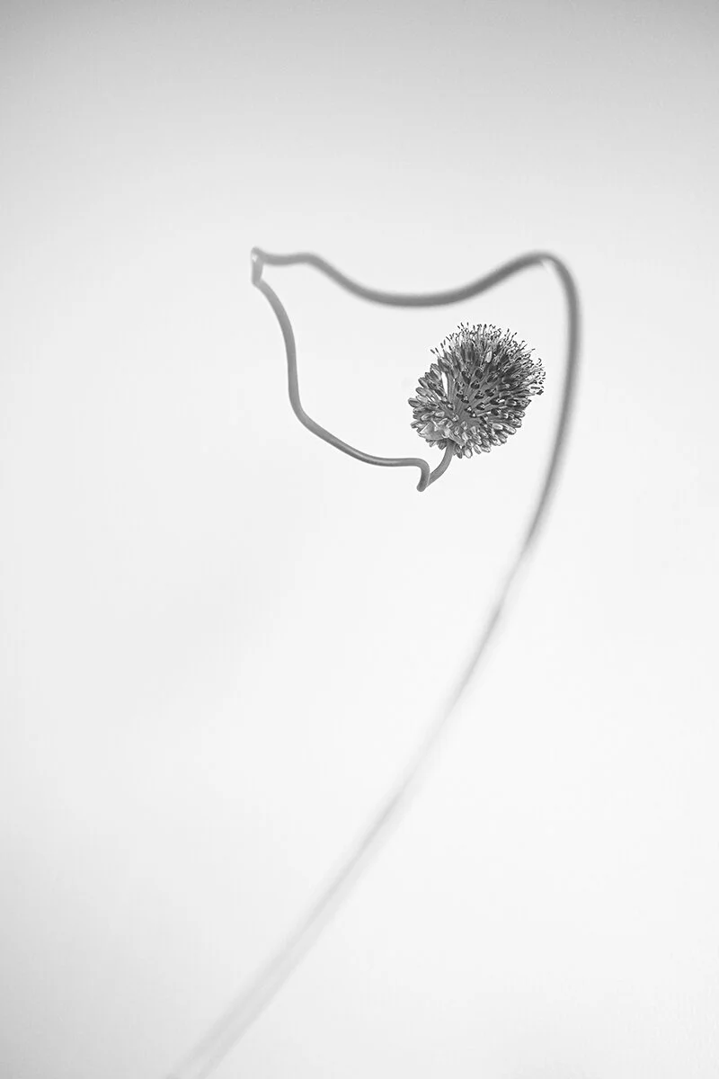 Isolation 150dpi.jpg