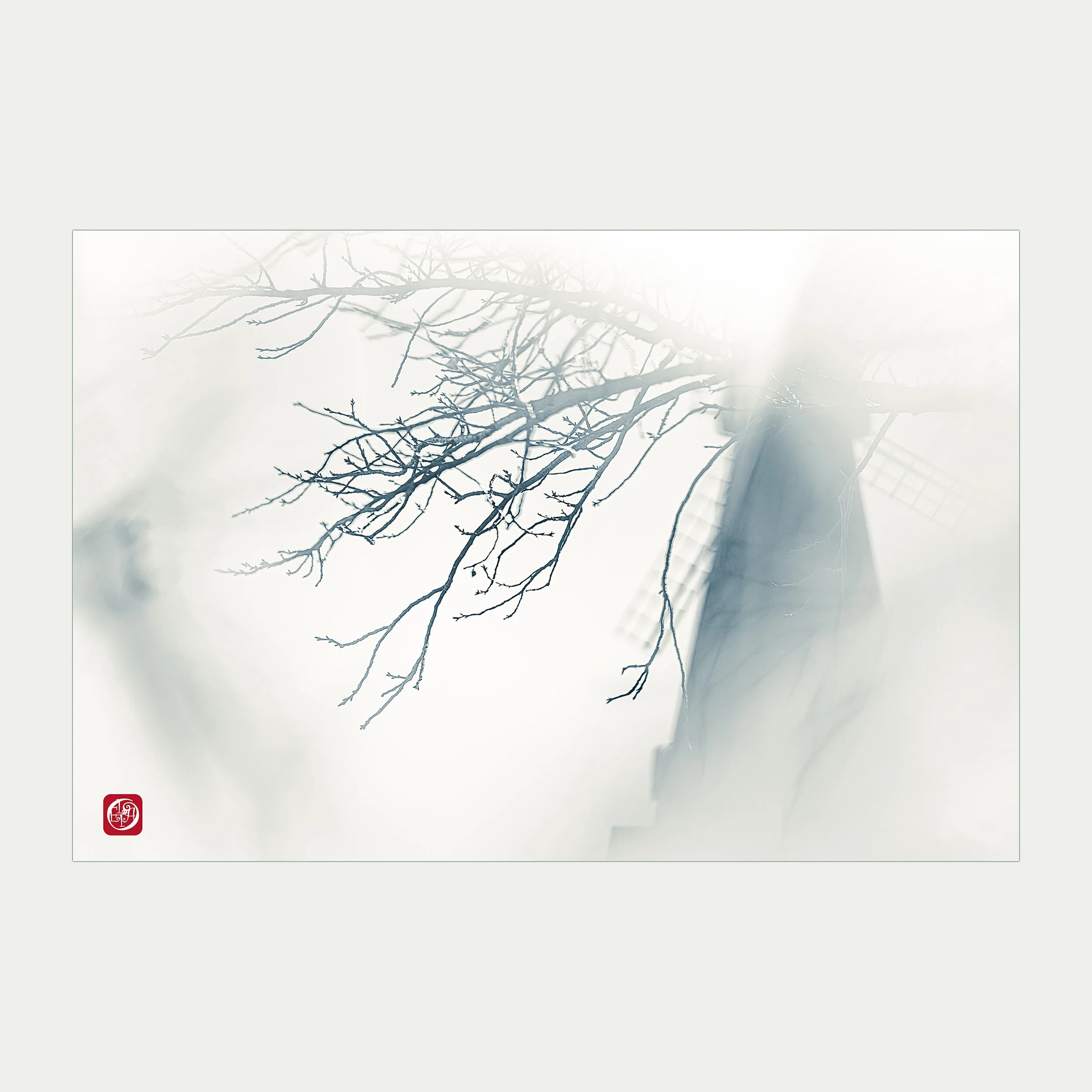 View with plum and windmill.jpg