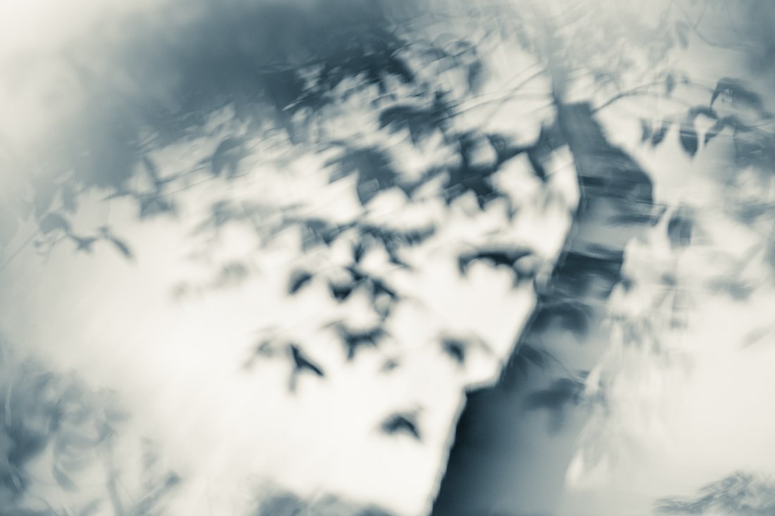 Come dance with me, said the wind.