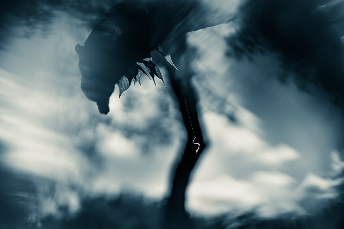 And the shadows grew.