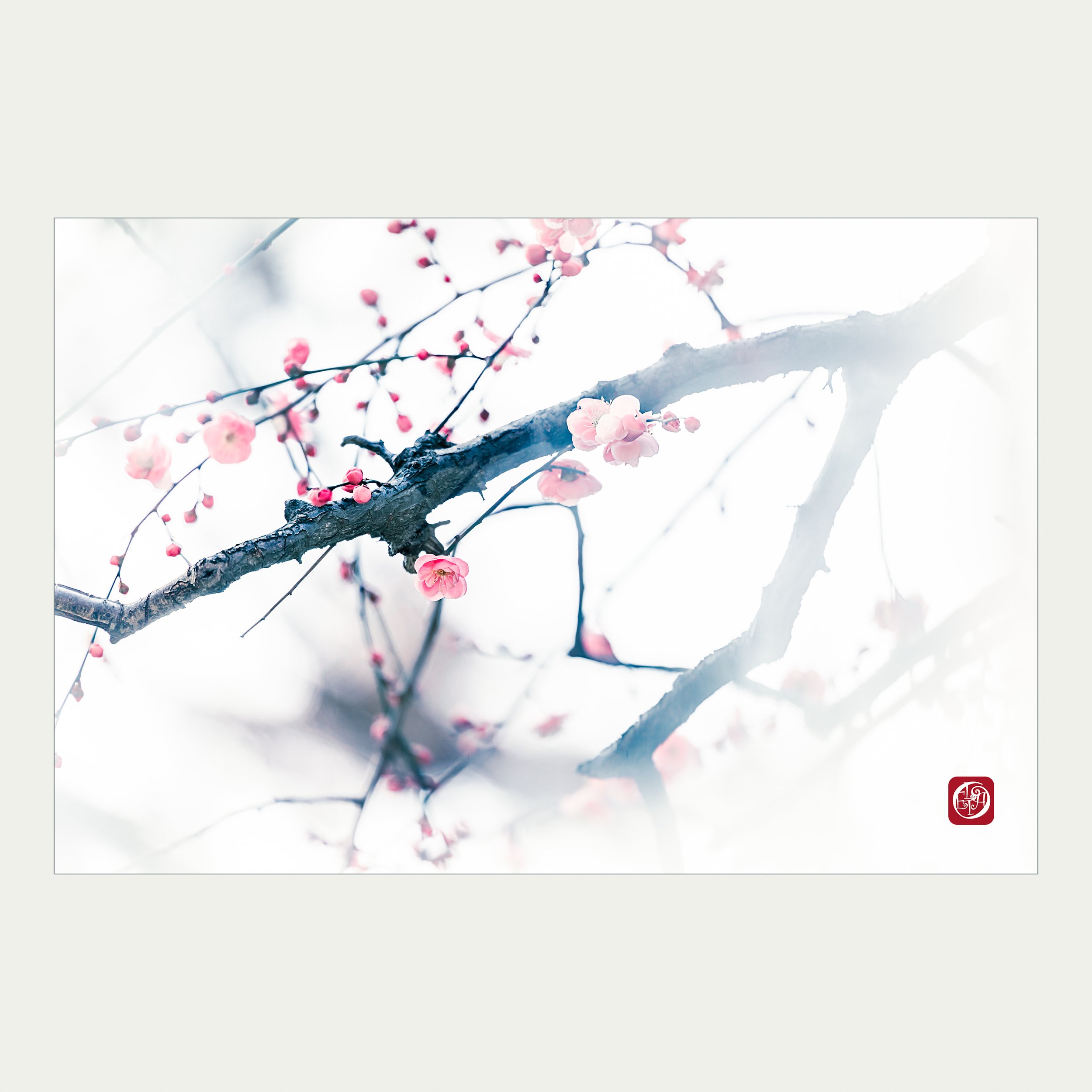 20260215_kahori.jpg
