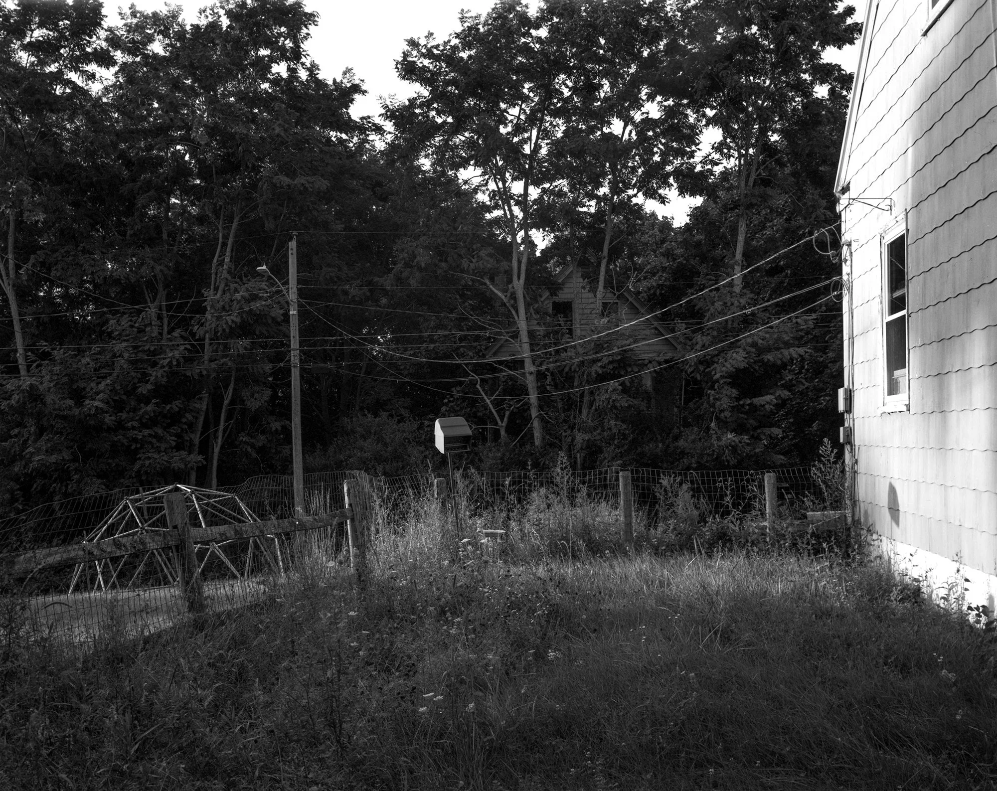 Side of Dad's House, 2026