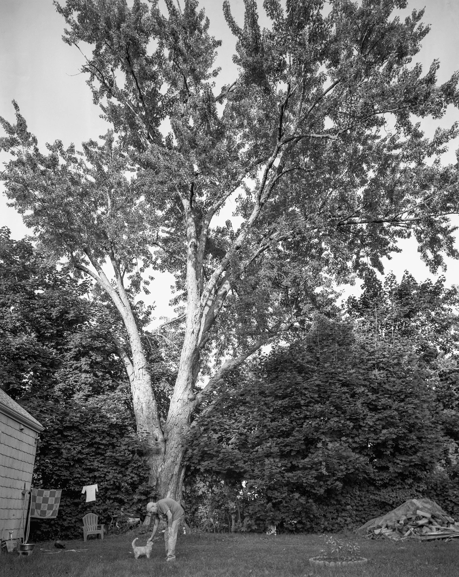 Dad with Oli and our Big Tree, 2024