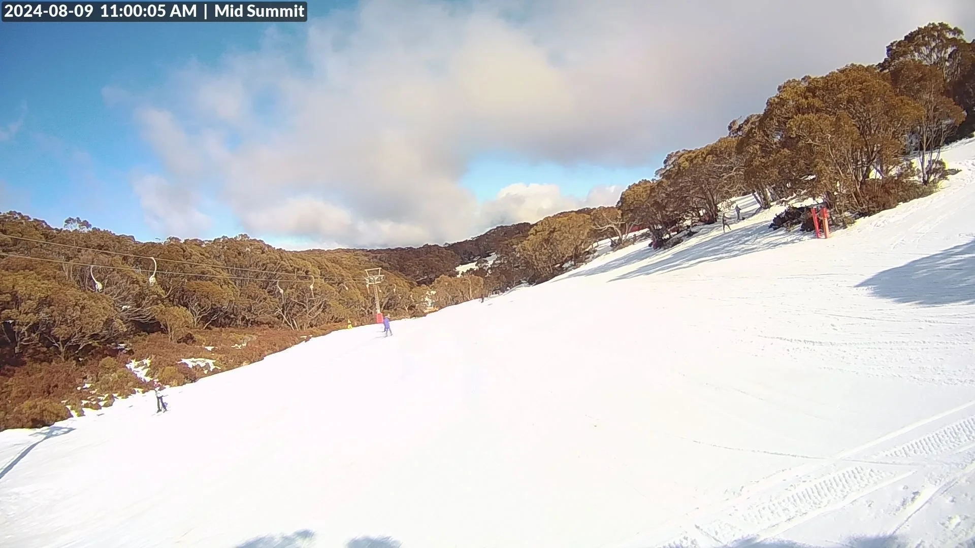      

 
    BAW BAW     3cm at village, 50cm average snow depth at summit    50cm average depth in snowmaking areas    Hut Run, Summit, Tank and Magic Carpet for skis/boards.     Features on Tank (boxes)    Frosti Hollow for toboggans    Excellent m