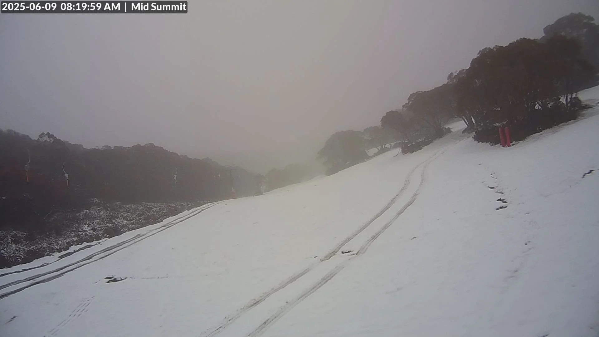      

 
    Baw Baw resor t    2-3cm  patchy natural snow    Frosti Hollow open for toboggans    All lifts closed    Fair to good snow play    Chains required     Saint Gwinear     No snow at car park    Facilities open    Food van closed    Tobogga