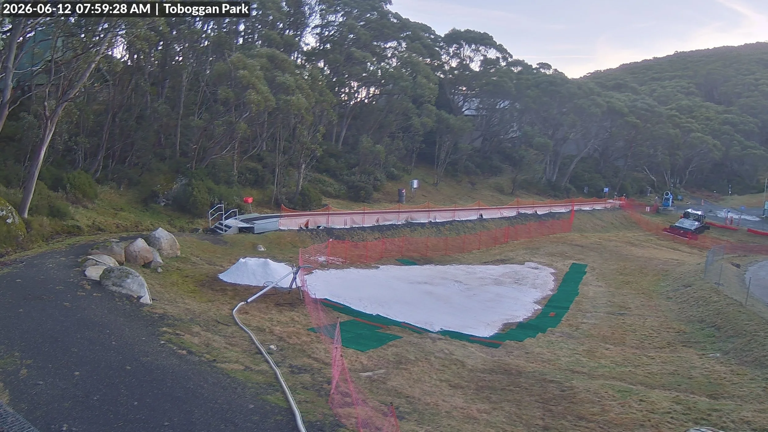 Tobogganing is free