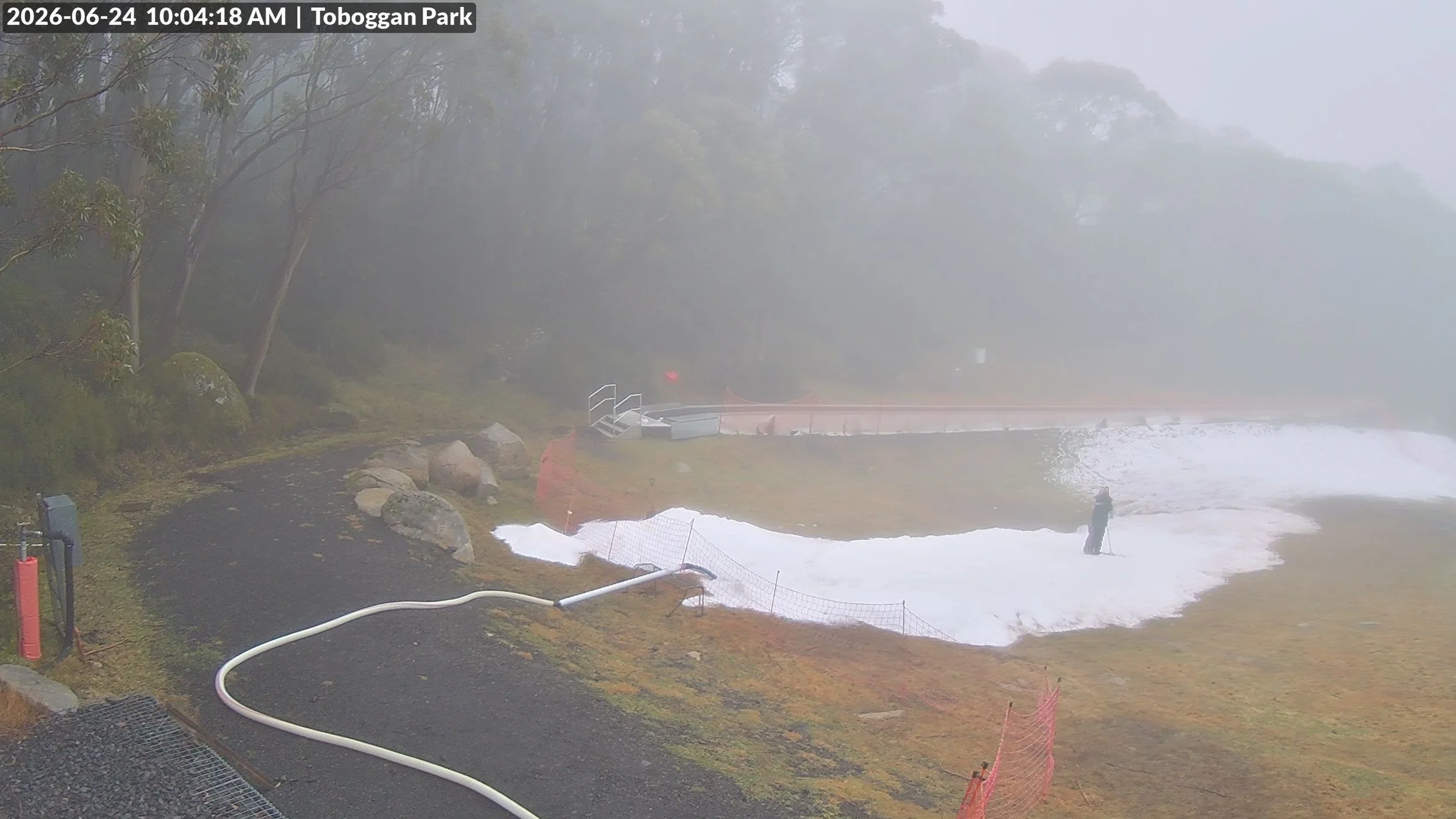 Free tobogganing