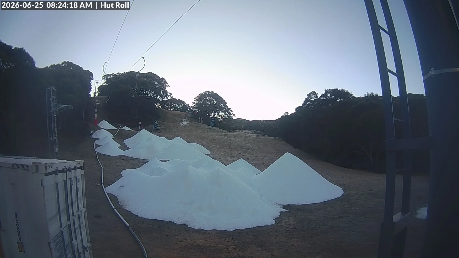 FREE tobogganing