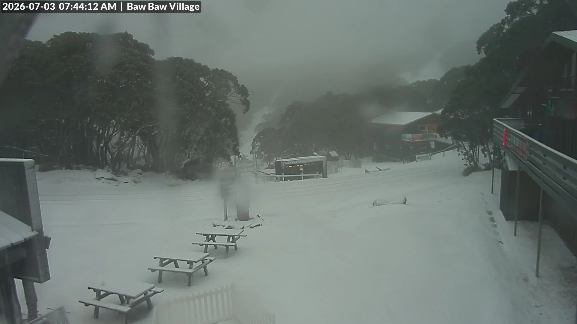 FRESH SNOW