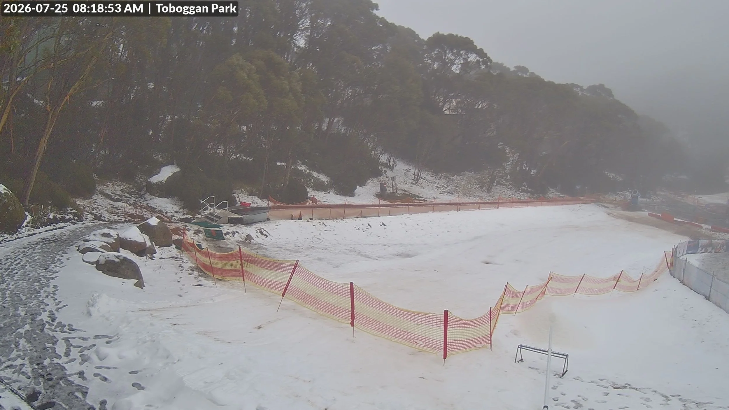       
  
     CURRENTLY -    BAW BAW HAS EXCELLENT COVER IN MAN MADE AREAS   - Hut Run  to the roll for skis and boards  - Frosti Hollow  for toboggans  - Fair  snow play  - Patchy to 5cm  natural snow depending on area   SAINT GWINEAR   - Patchy  a