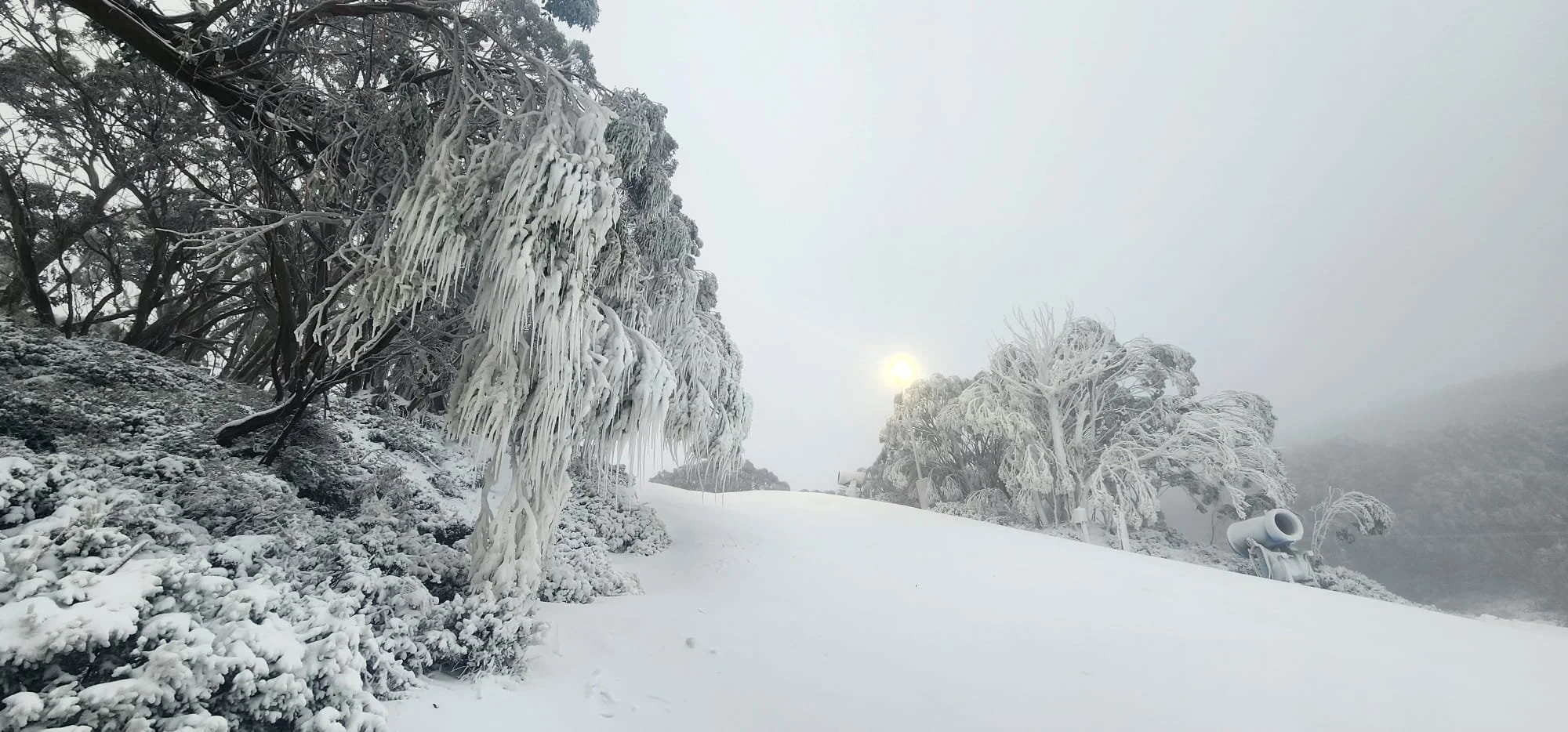 SNOWING CURRENTLY