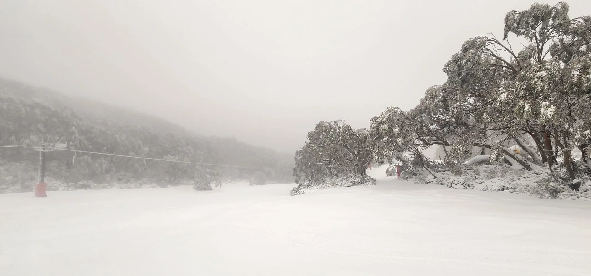       
  
     CURRENTLY -    BAW BAW AND SAINT GWINEAR HAVE FRESH SNOW AND ARE FITTING CHAINS AT TIME OF REPORT   - Hut Run  to the top for skis and boards  - Summit opening this morning   - 10cm OF FRESH SNOW AND STILL SNOWING    -20cm  average sno