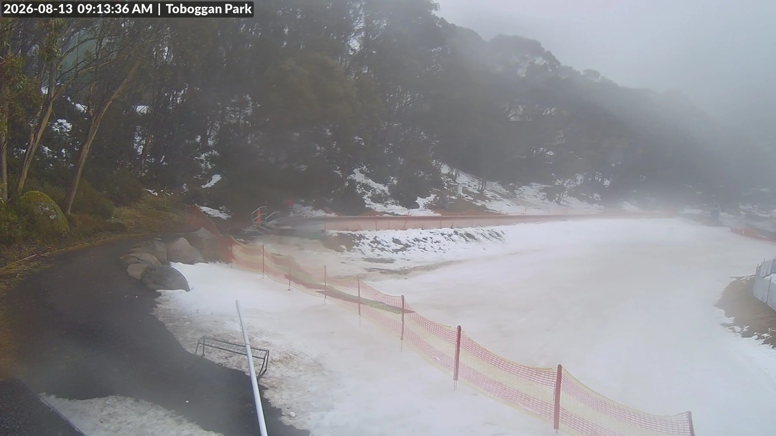      
  
    - Hut Run to the top and Magic carpet OPEN  for skis and boards.   -X country trails-   FAIR to POOR    -Patchy  average snow depth  - Frosti Hollow  for toboggans with excellent cover  - FAIR  snow play   SAINT GWINEAR   - No snow  at 