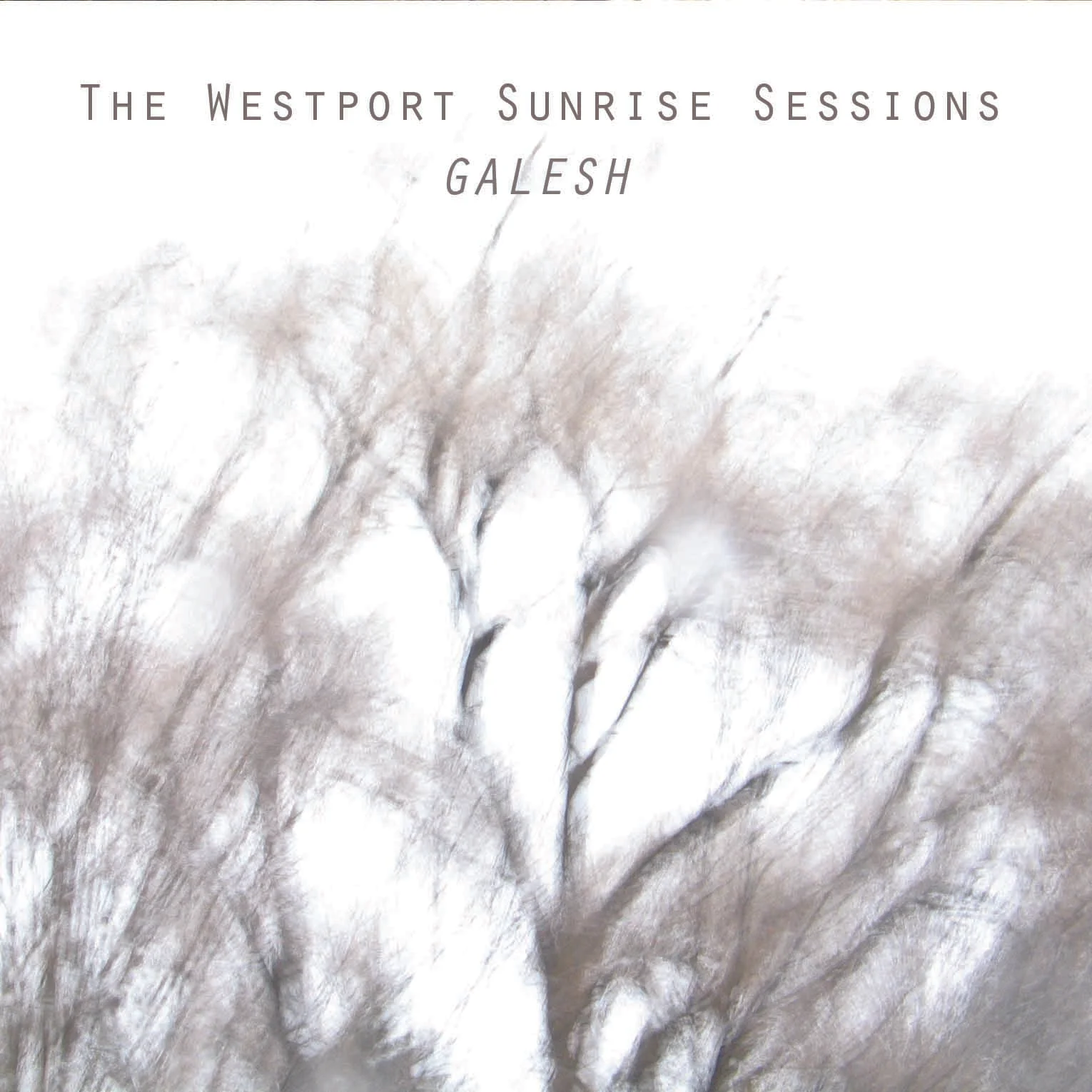 'Galesh' EP by Westport Sunrise Sessions - Digital Download