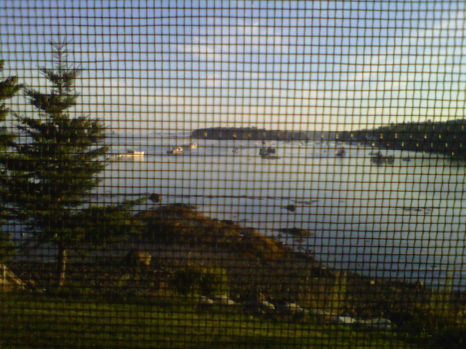 IMG-20120822-00094.jpg