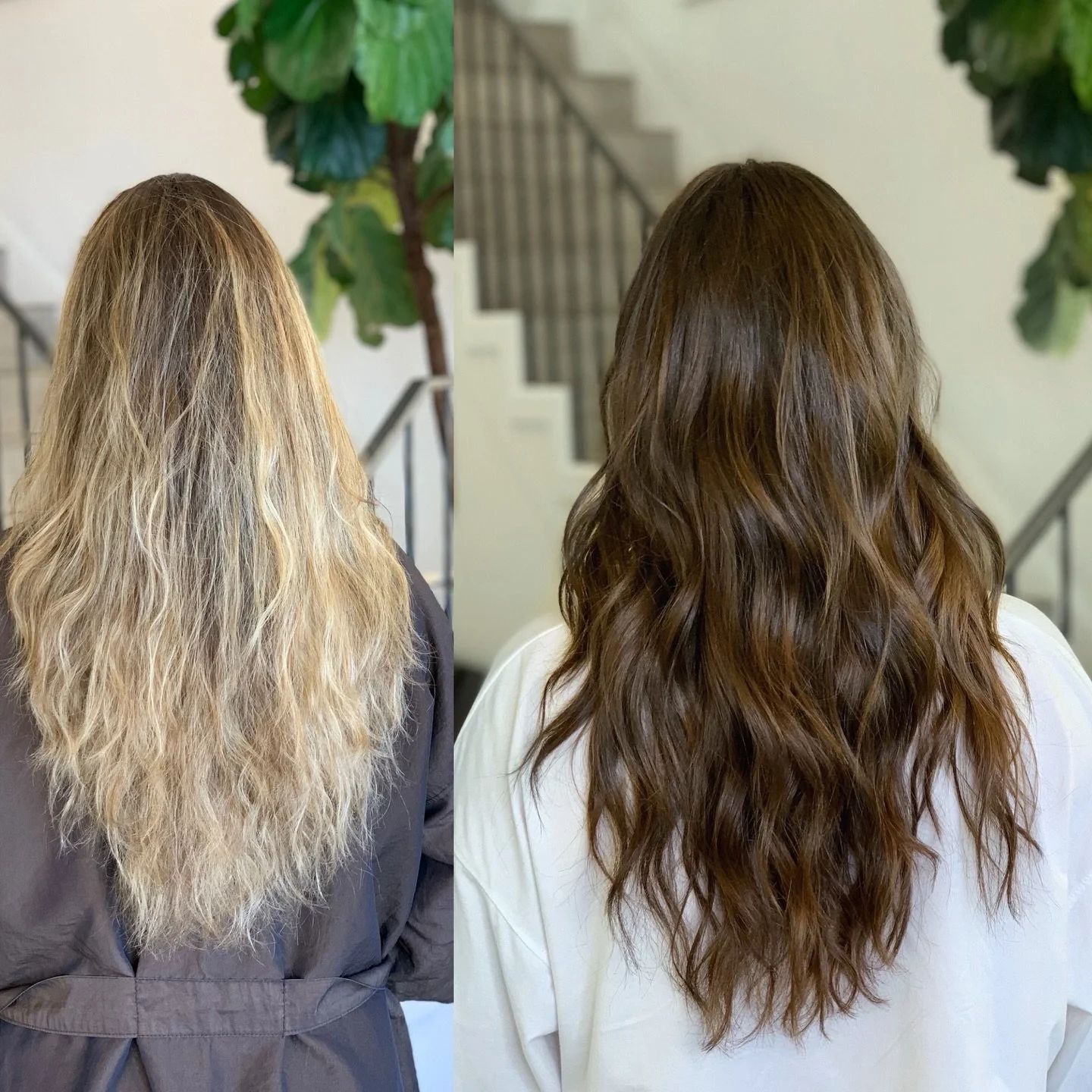 From sunlit blonde to rich brunette 🤎✨

Sometimes the biggest glow-up isn&rsquo;t going lighter &mdash; it&rsquo;s going deeper.

Brunette season just hits different.💫

#lahair #beverlyhillssalon #lahairstylist #cleansalon #salonkazumi