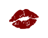 logo (13).png