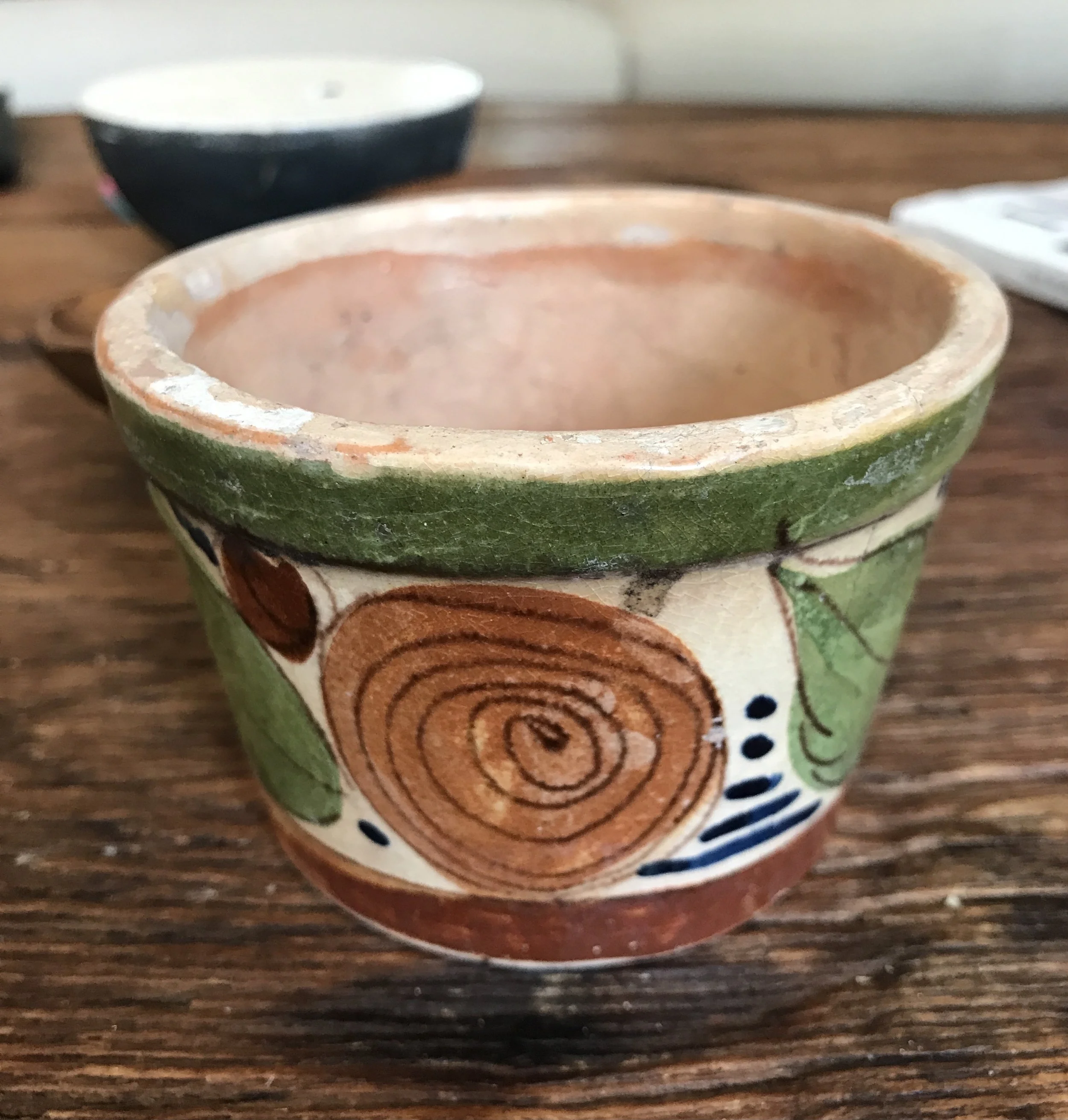 Diminutive Mexican Planter