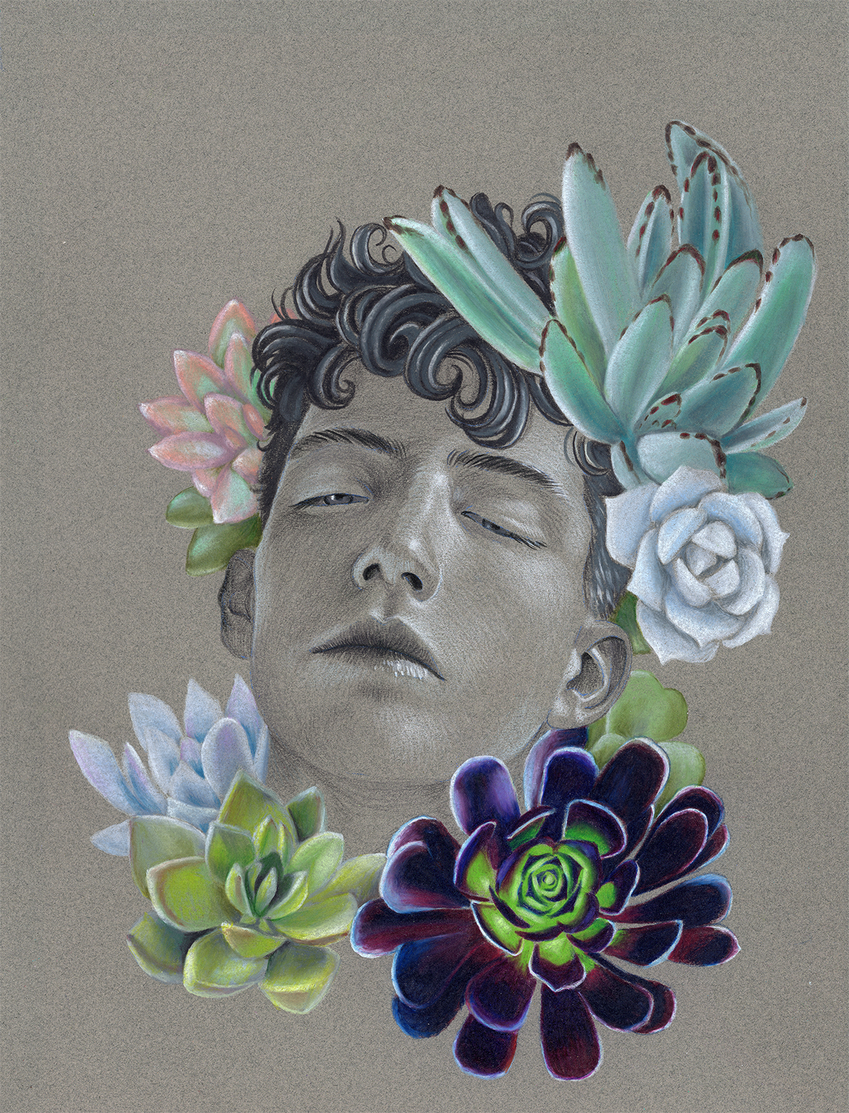 succulents med.png