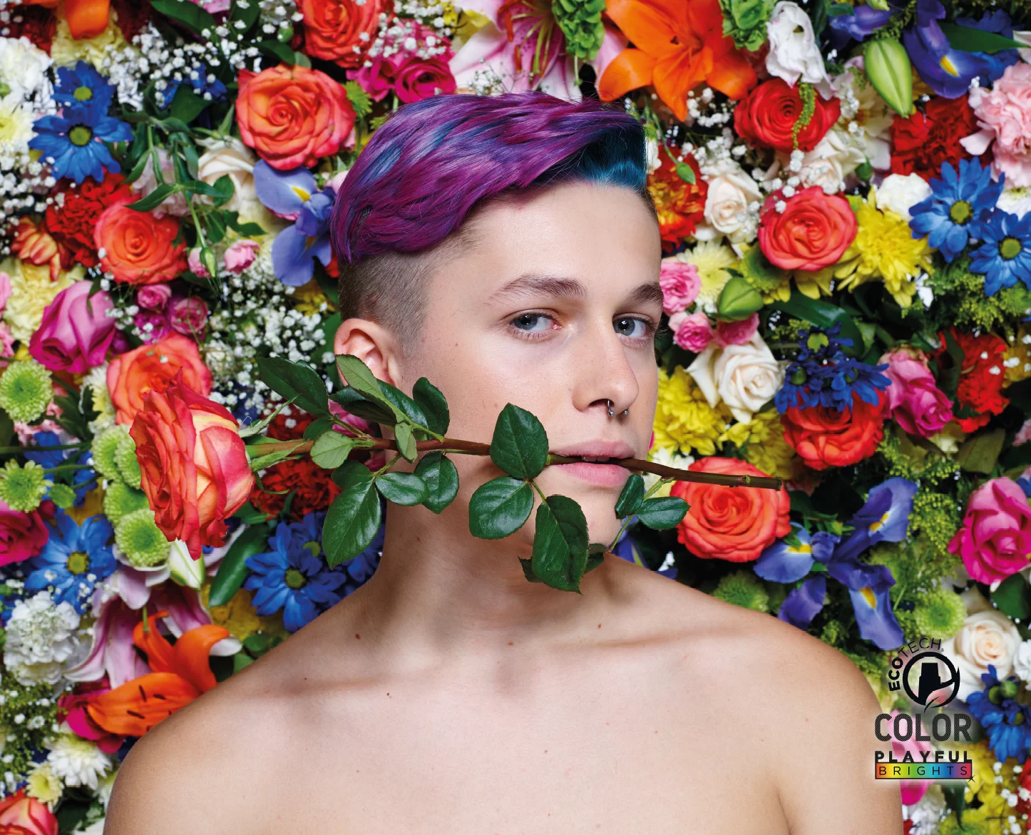 PLAYFUL BRIGHTS 1.jpg