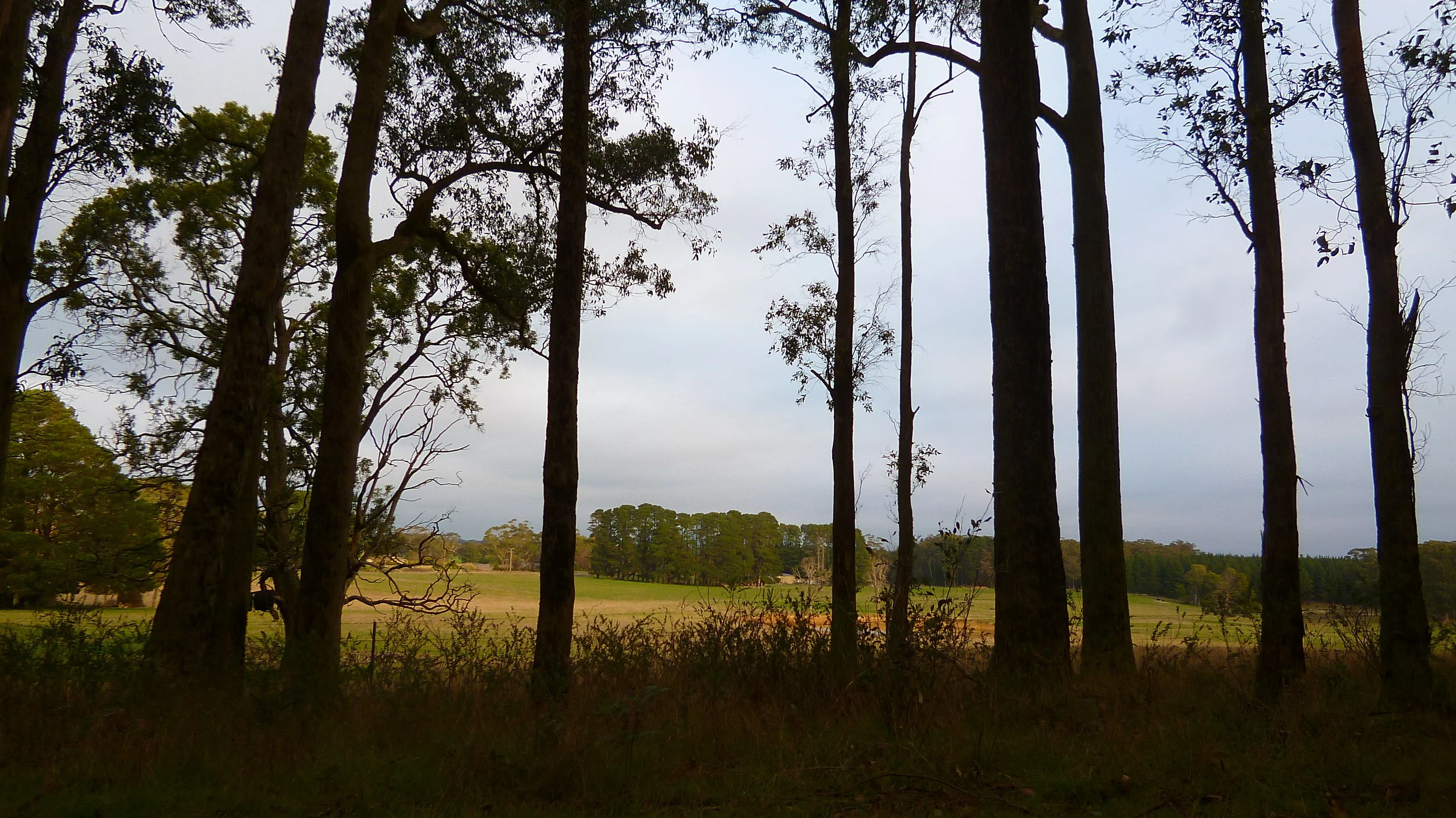 Ballarat to Maryborough Cycling Trail