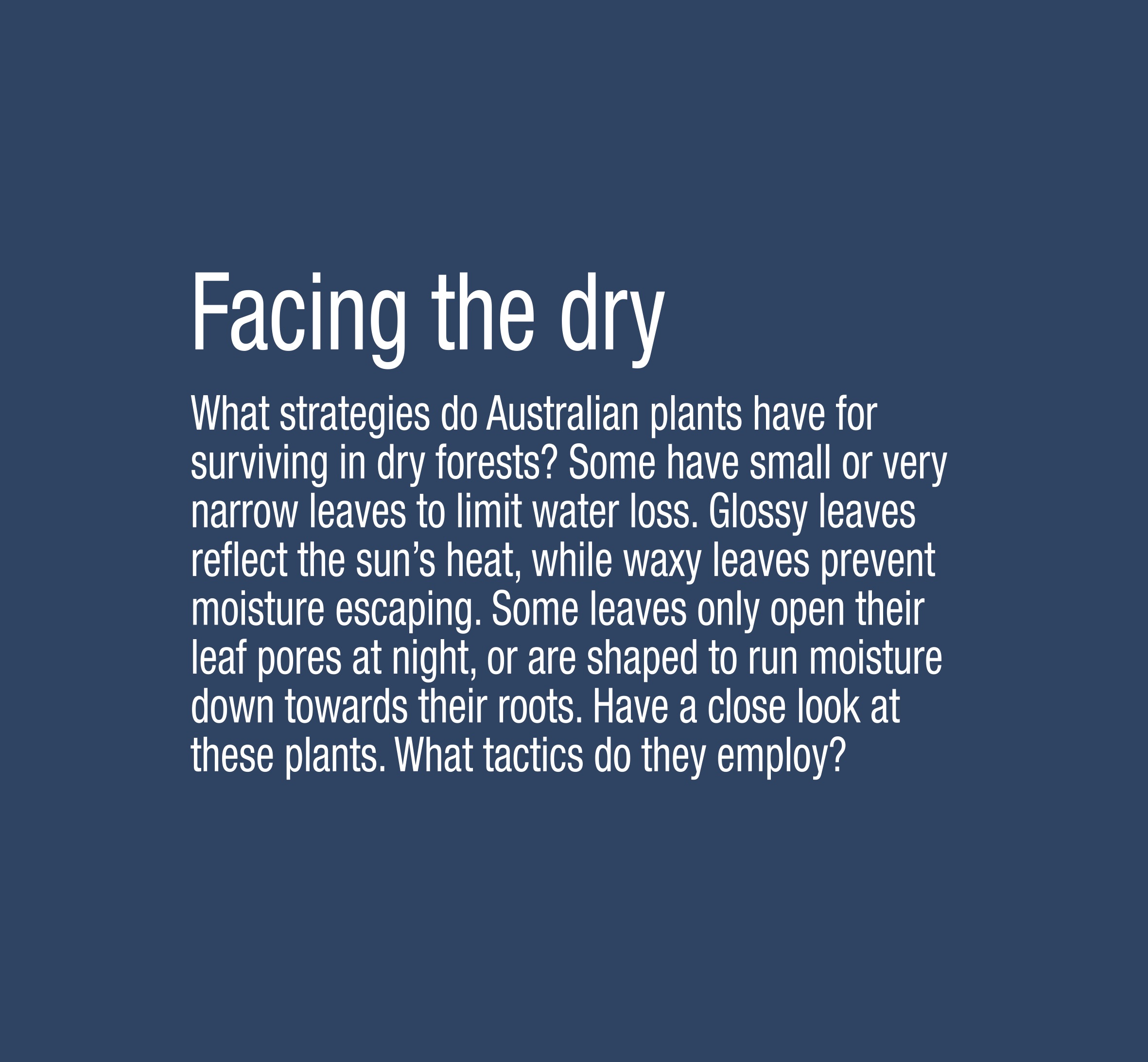 M_1_8 A4 Blue facing dry3.(PR).jpeg