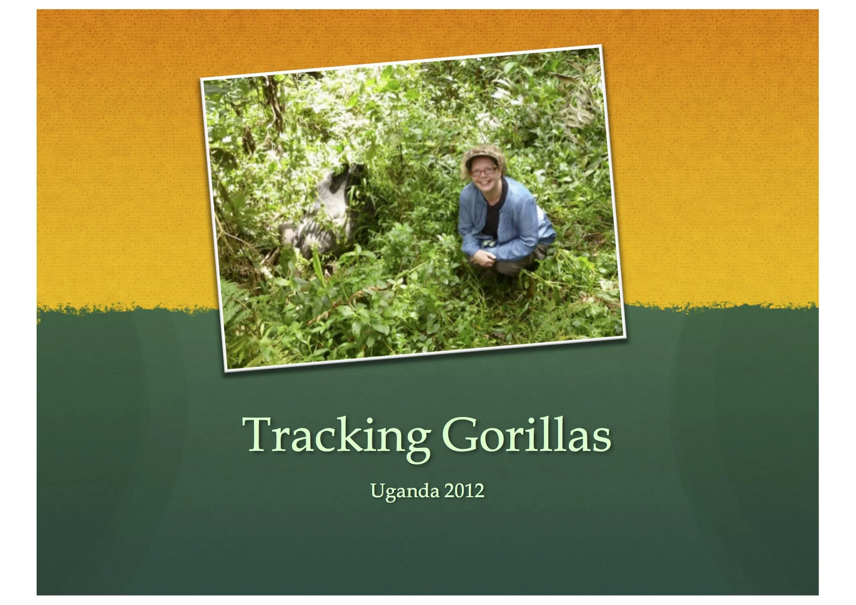 Tracking Gorillas Uganda 2012 2 1.jpeg