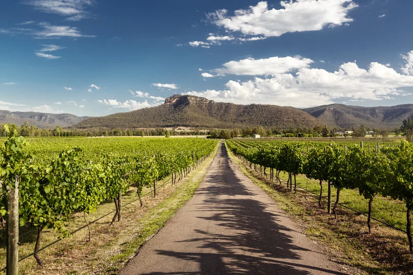 Blue Mountains, Hunter Valley and Sydney