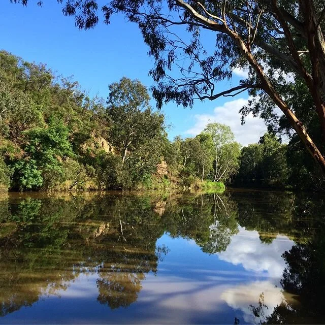 Check that reflection out!! Lots of rain, but the river’s still. A magical moment on this morning’s walk.