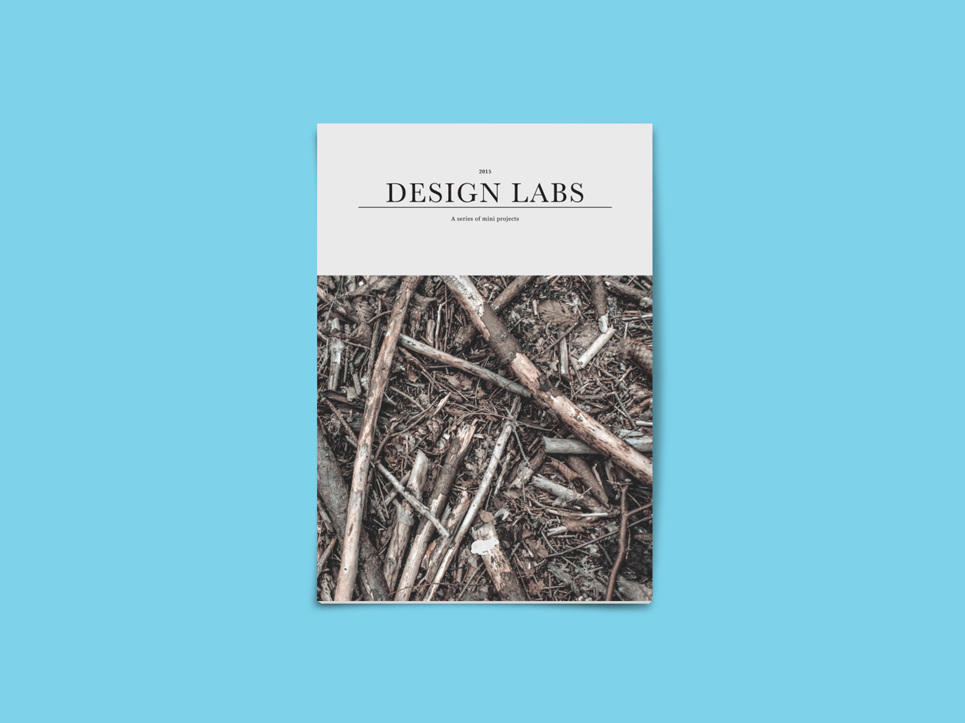 Front Cover.jpg