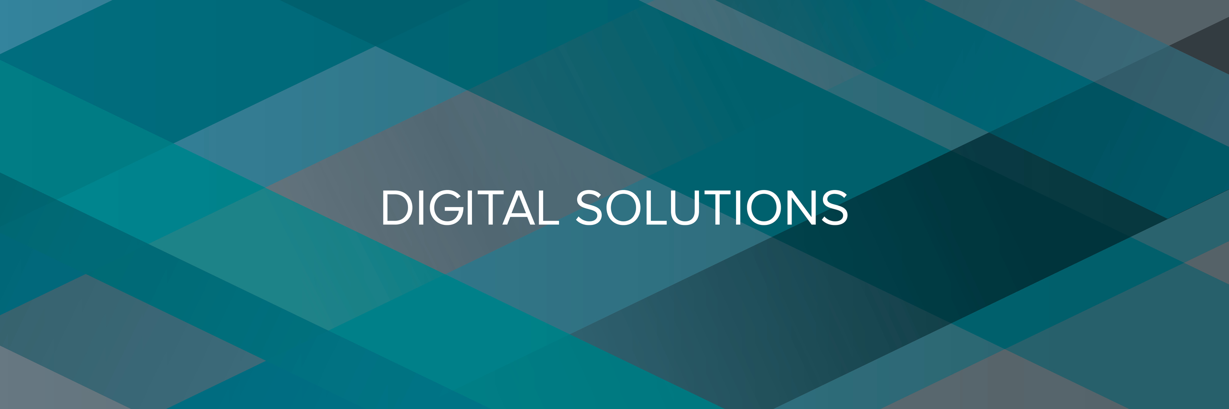Work_Digital Solutions Header.jpg