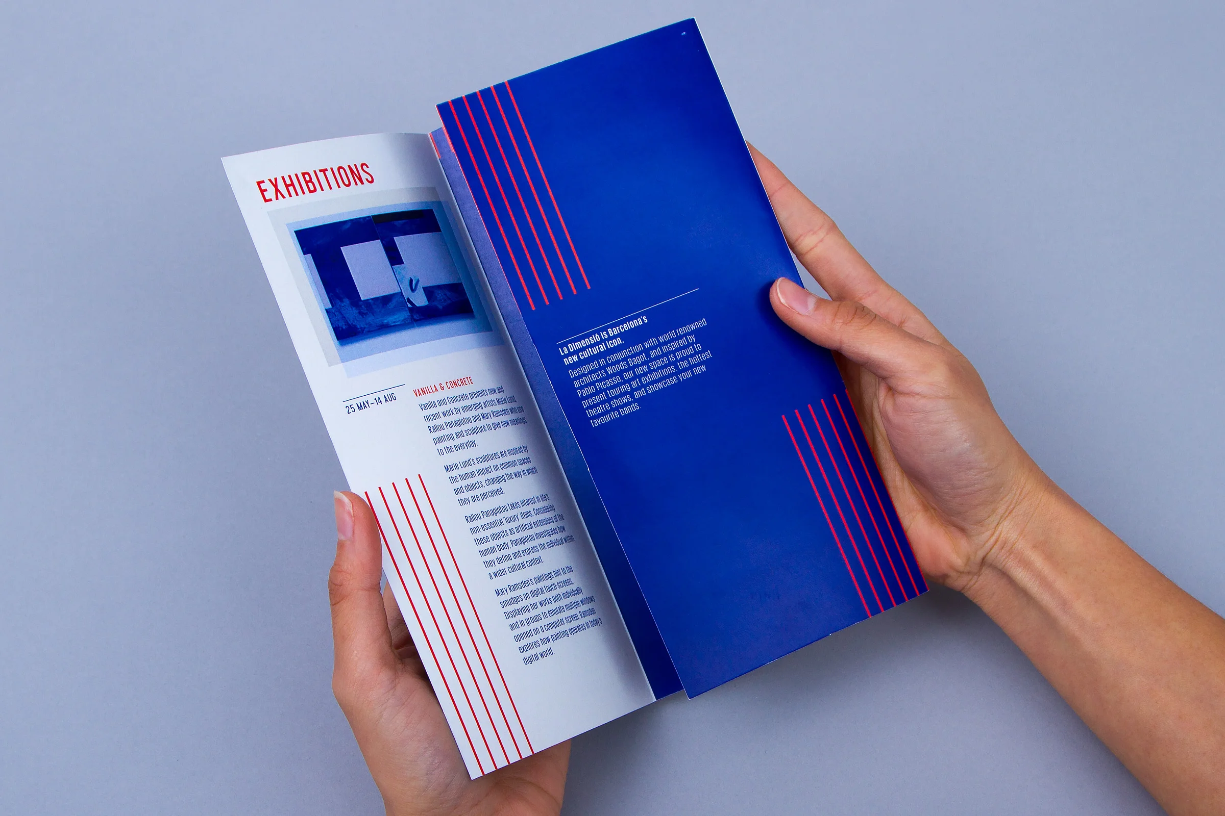 brochure2.jpg