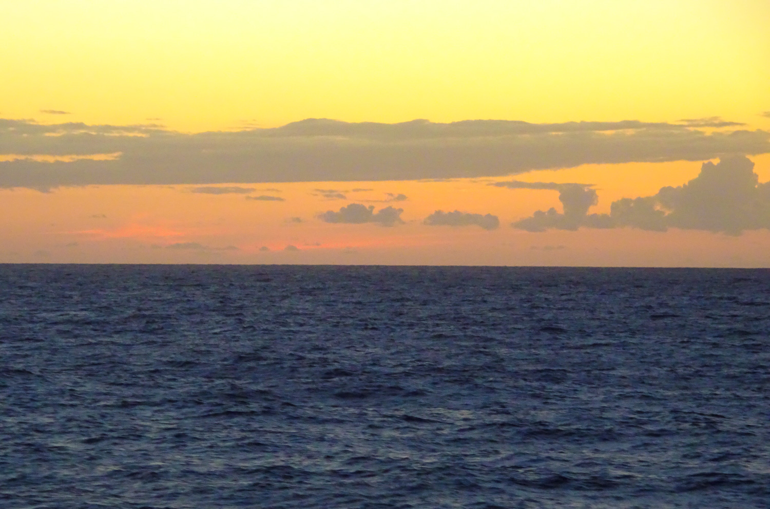 Ocean Views - Bimini's - NCL Dawn Photo: Calvin Wood