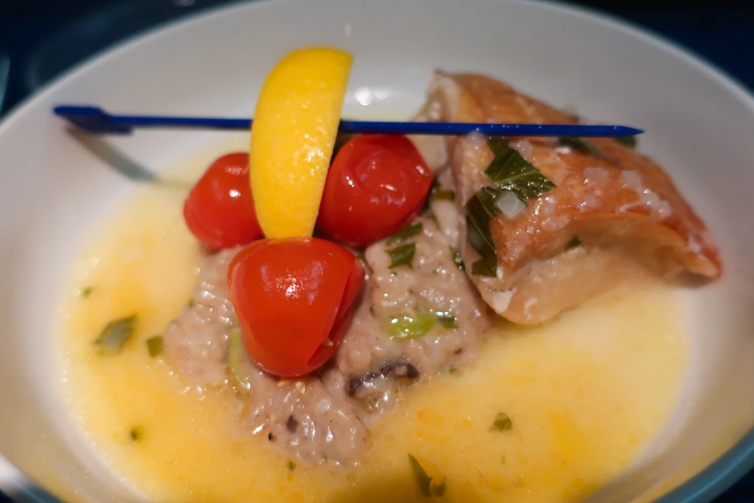 Salmon Main - United Airlines Business Class Photo: Calvin Wood