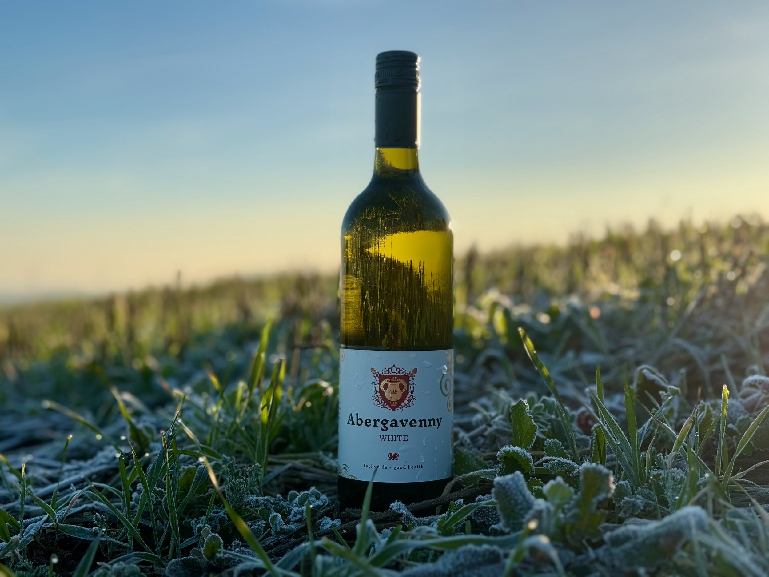 IMG_3076 - Jesse Feakins.jpeg