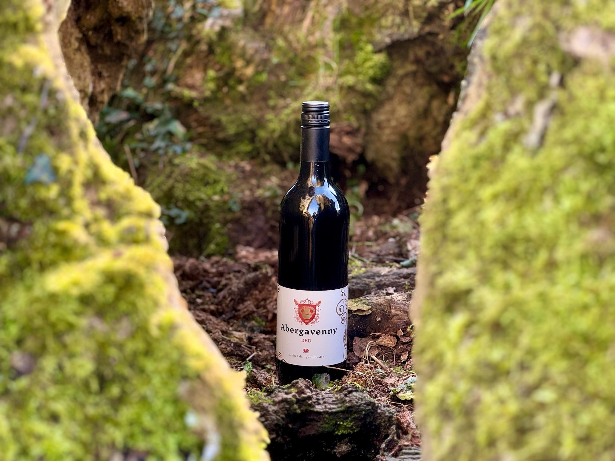 IMG_3318 - Jesse Feakins.jpeg