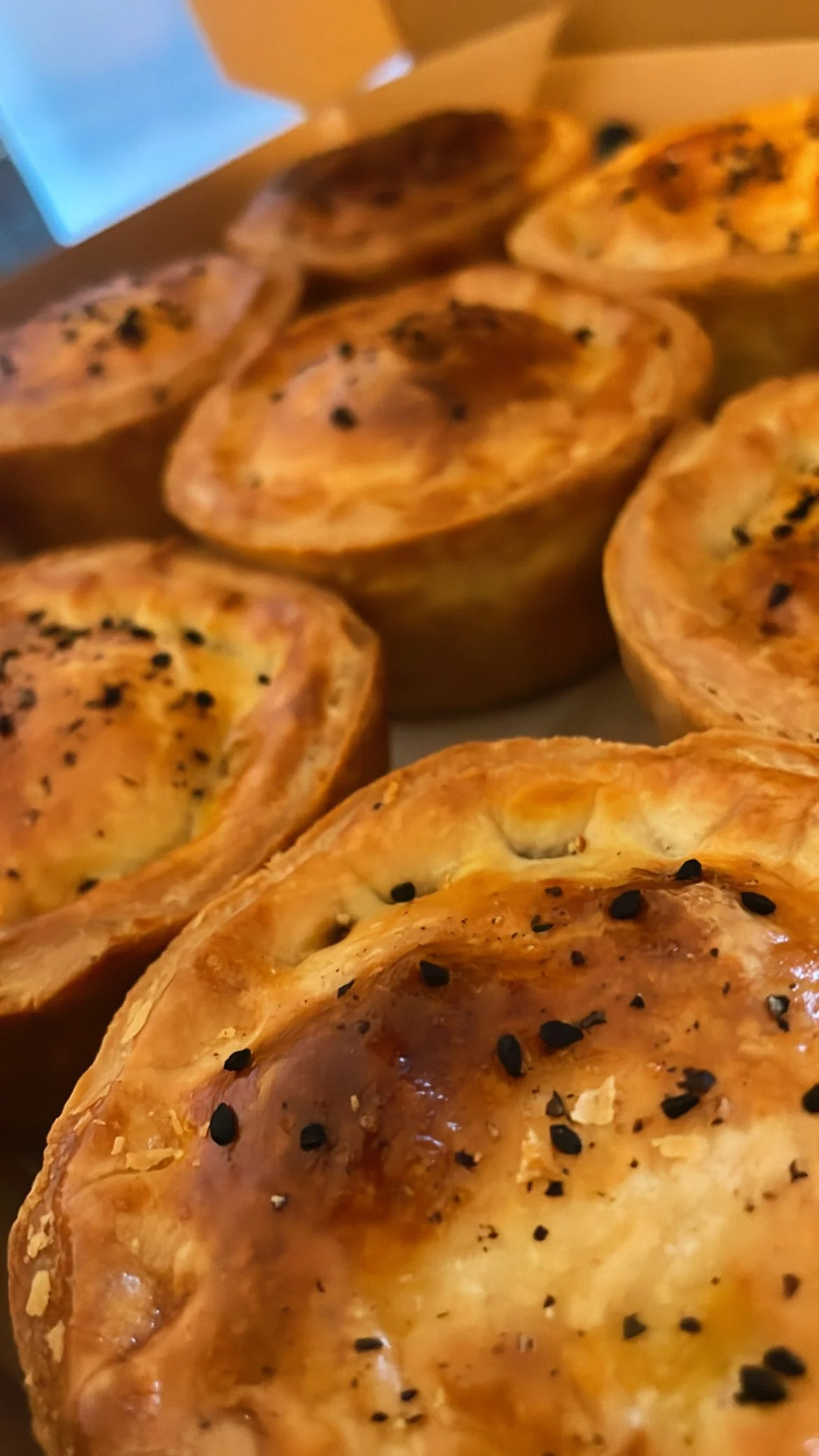 B4FBA6C9-27A2-4FB0-A6B4-051E54EEAFA7 - Rachel Thomas.jpeg