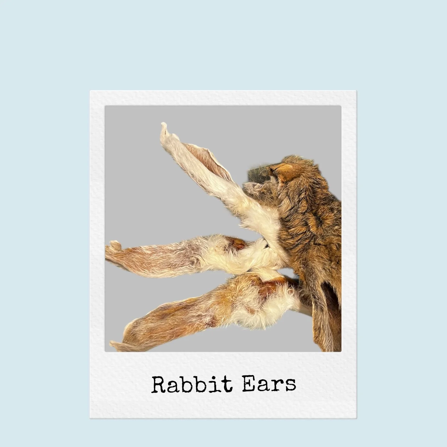 Photoroom_20251024_110030 - Samantha Caldwell-Thorne.jpeg