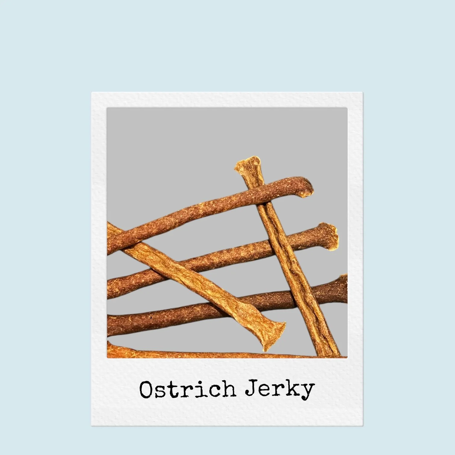 Photoroom_20251024_110106 - Samantha Caldwell-Thorne.jpeg