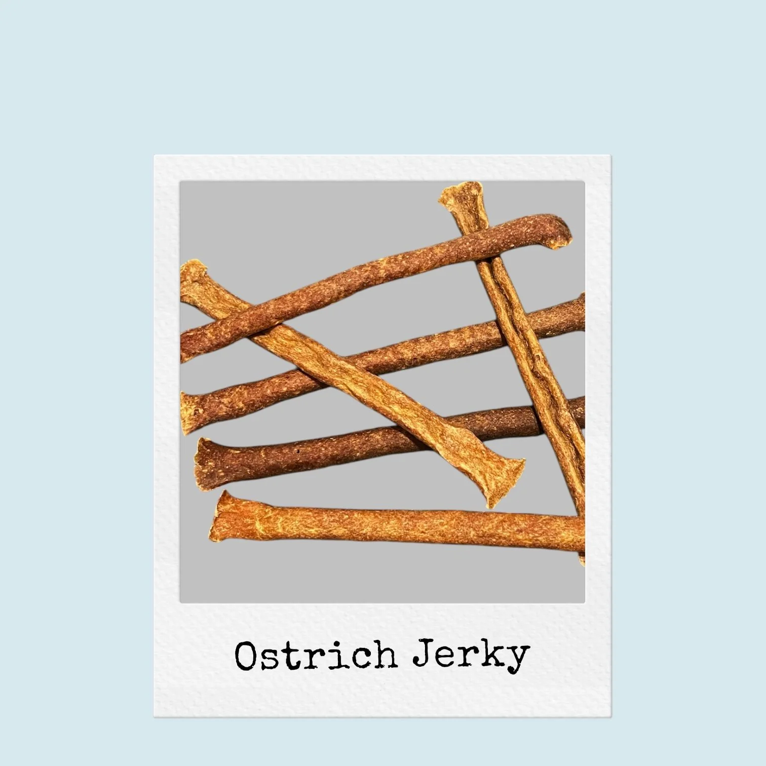 Photoroom_20251024_110207 - Samantha Caldwell-Thorne.jpeg