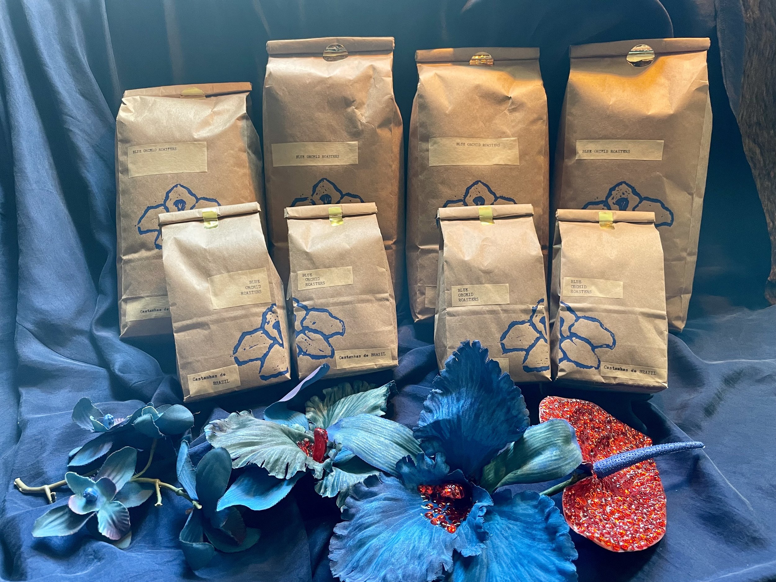 IMG_3304 - Jemma Roper.jpeg