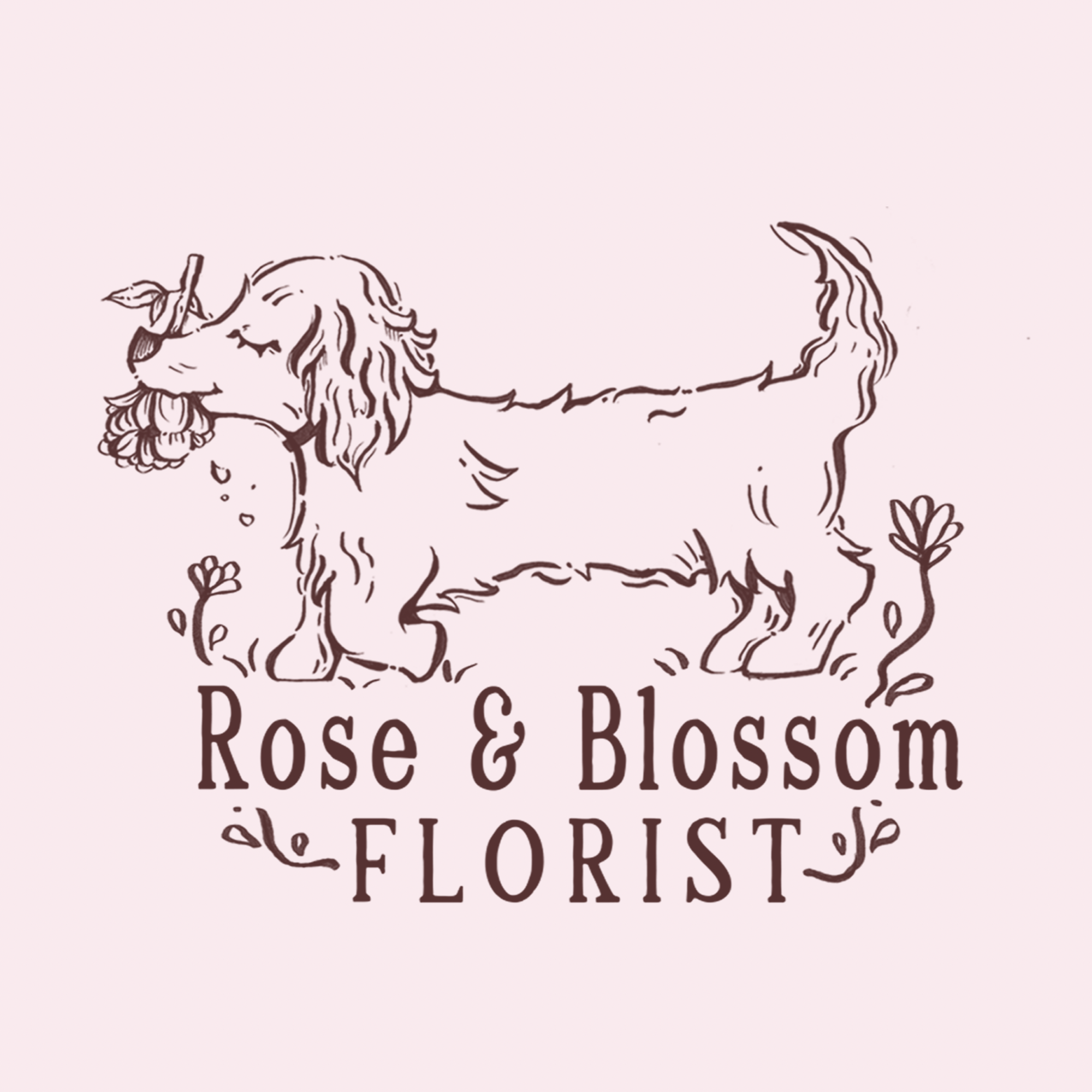 Untitled design - Rose Jenkins.PNG