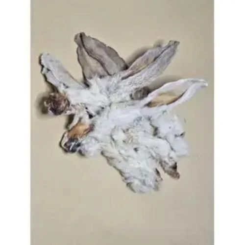 rabbit ears - Rachael Rees.jpg