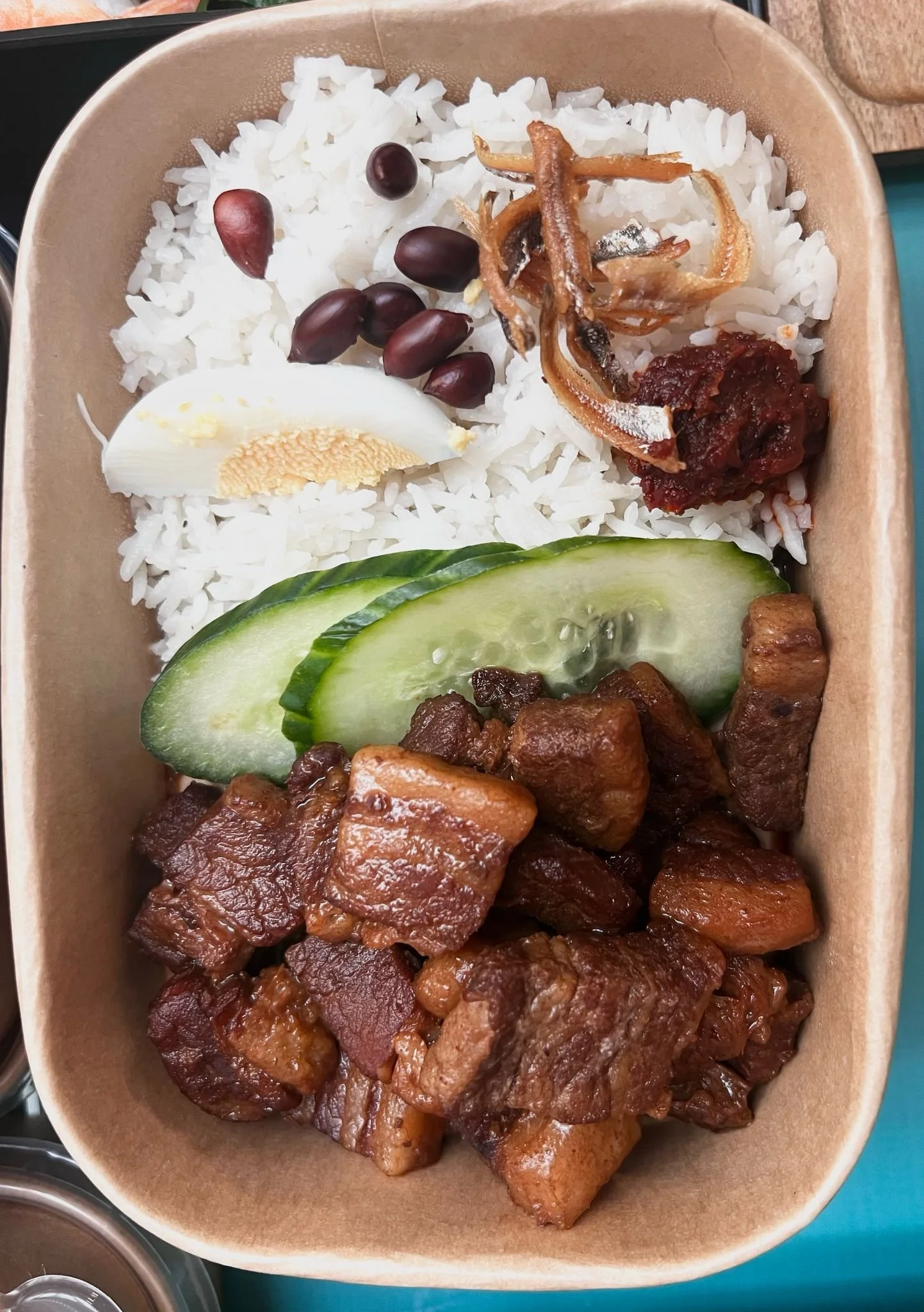 Hong Shao Rou + Nasi Lemak - emsasiandelight.jpeg