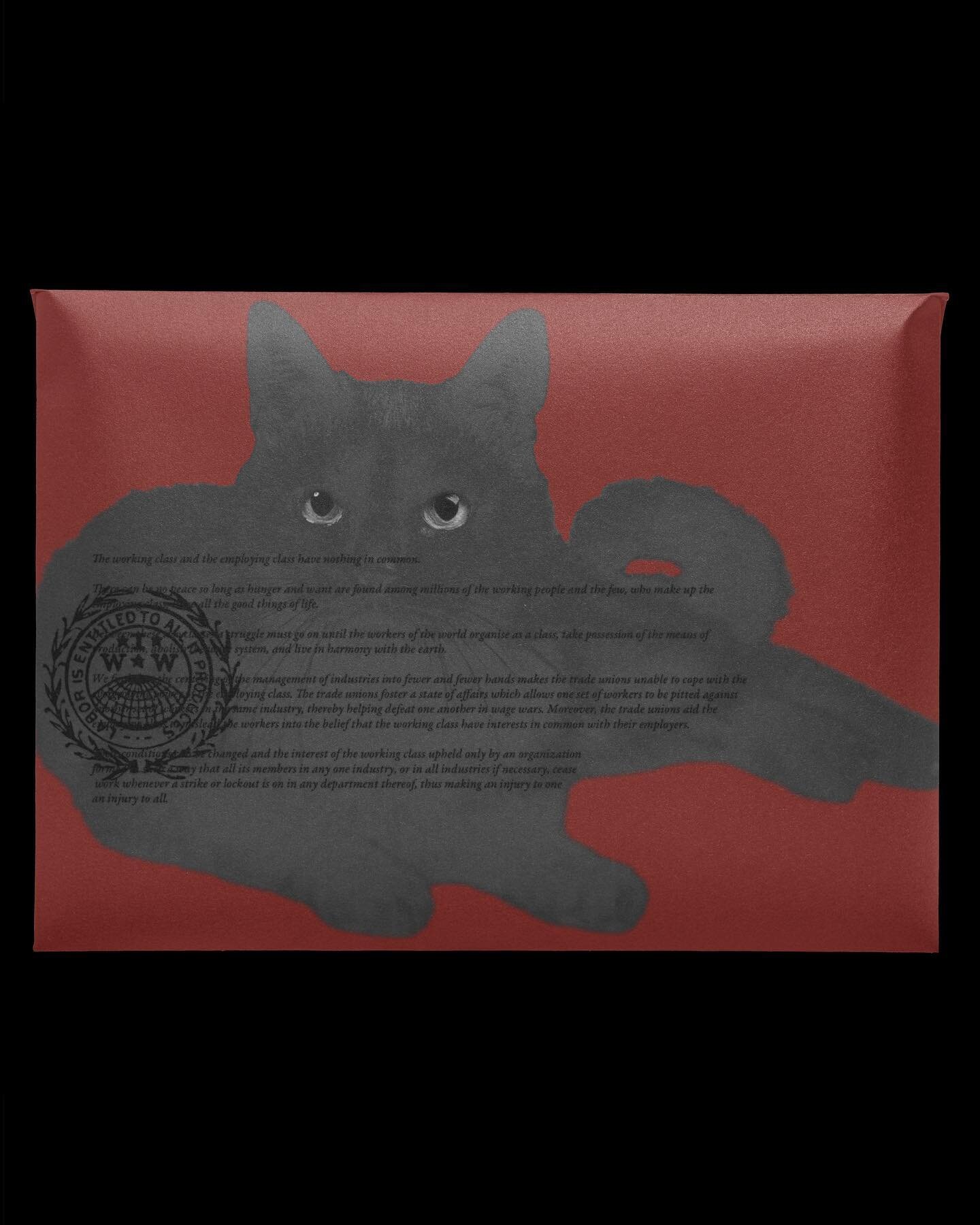 ℒ𝒶𝒷𝑜𝓇 𝒟𝒶𝓎 &laquo;𝒜𝓂𝑒𝓇𝒾𝒸𝒶𝓃 𝓂𝒶𝓎𝒹𝒶𝓎&raquo; 
&bull;
&bull;
&bull;
[black background with horizontal mail package/magazine cover in burgundy with a black cat (grey)  set to fit most of the area: text in front of the cat is the preambl